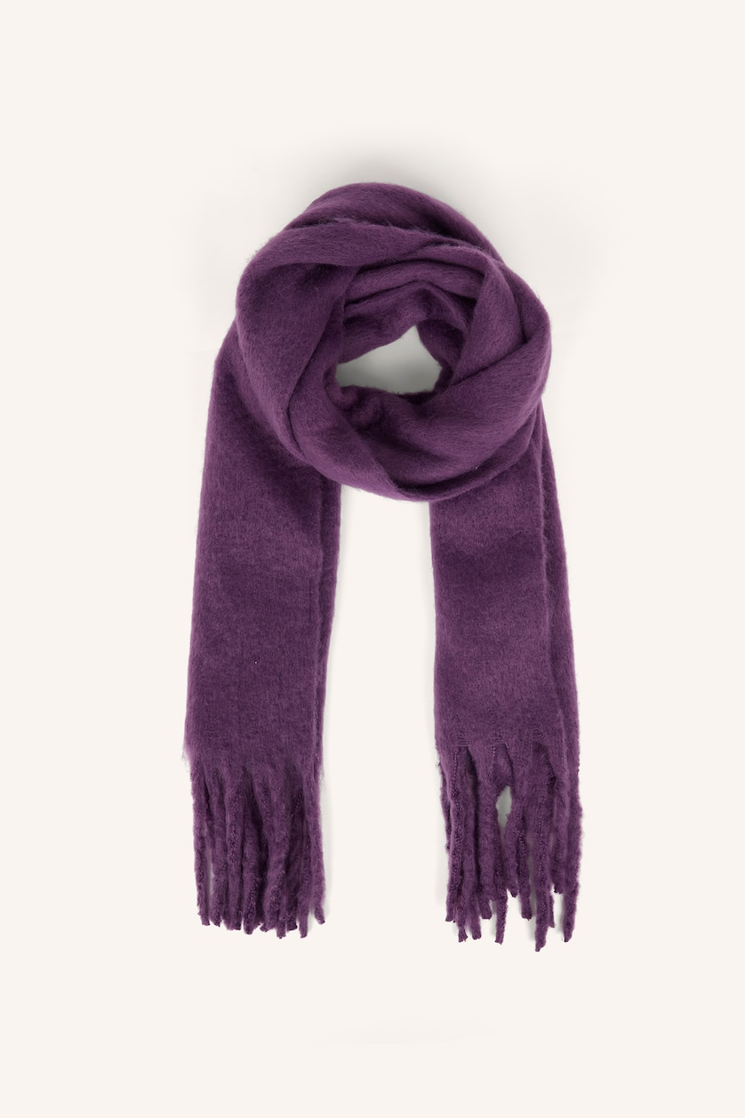 Women Purple Woman Scarf