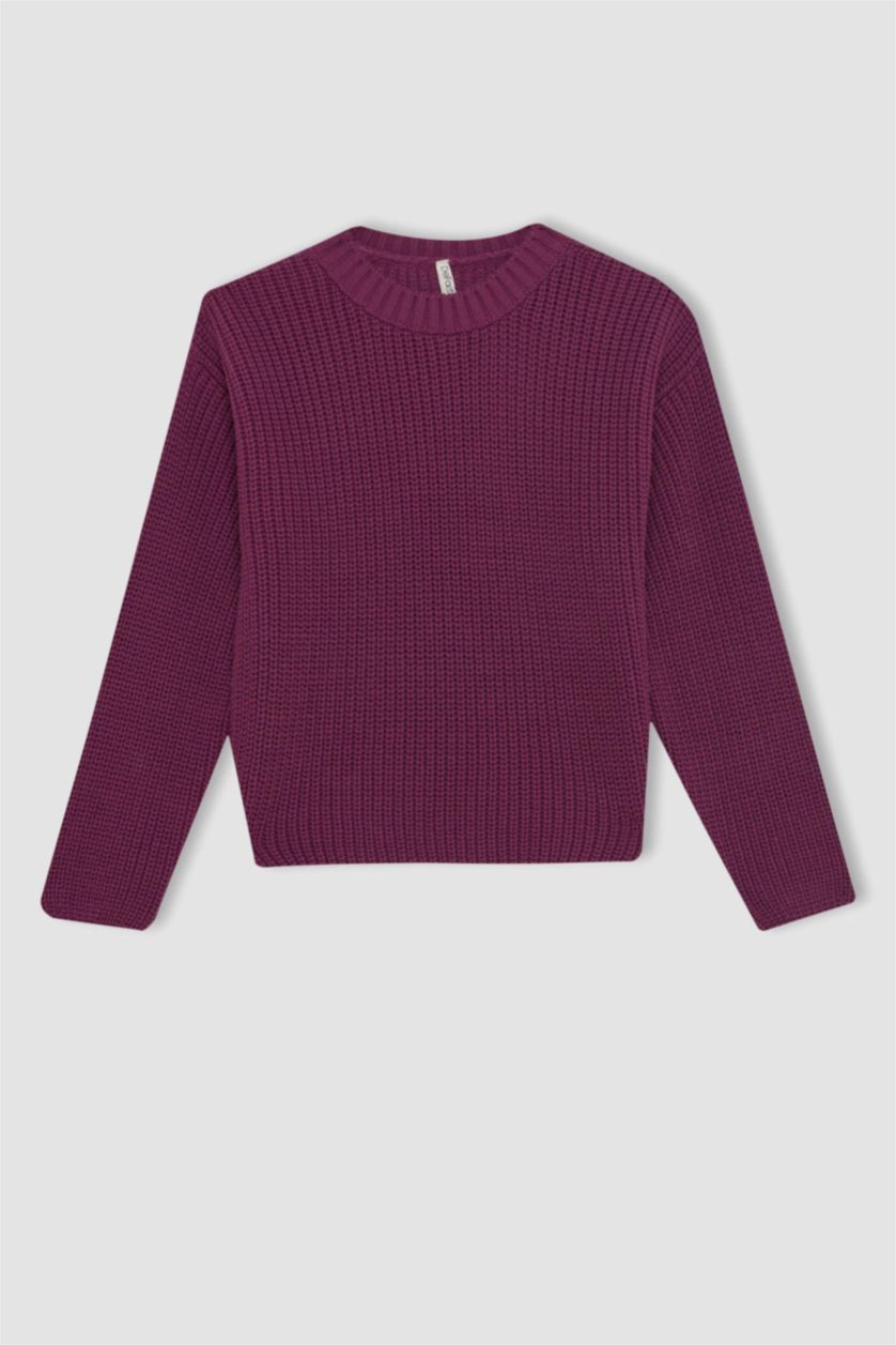 Kız Çocuk - Genç Kız Mor Mor Standart Fit Bisiklet Yaka Basic Düz Triko Kazak Kız Çocuk