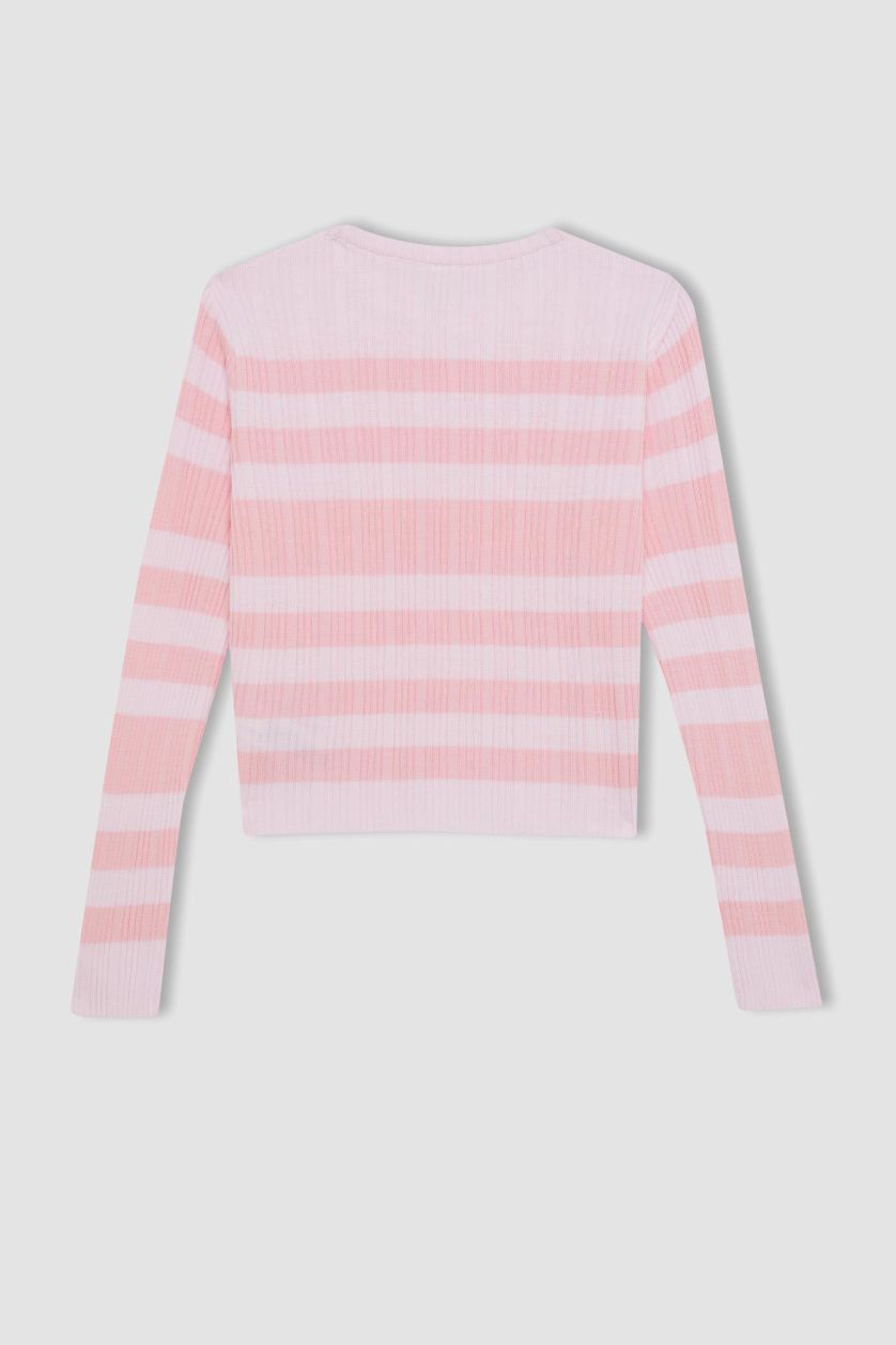 GIRLS & TEENS Light Pink Girl Pink Striped Standard Fit Crew Neck Tight Knitted Pullover