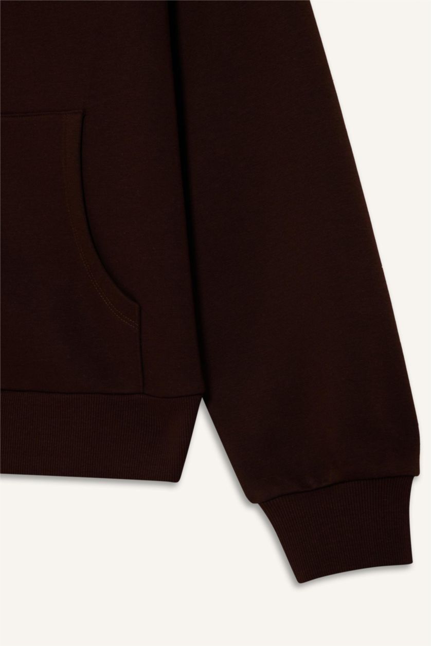 Женщины Коричневый Свободный крой, толстовка с капюшоном, базовая, однотонная, из плотного материала