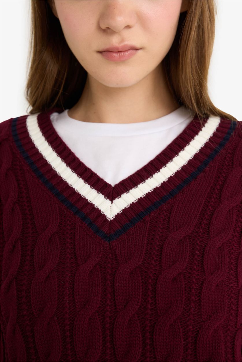 Женщины Бордовый Трикотажный свитер Coool Regular Fit с V-образным вырезом и плетеным узором