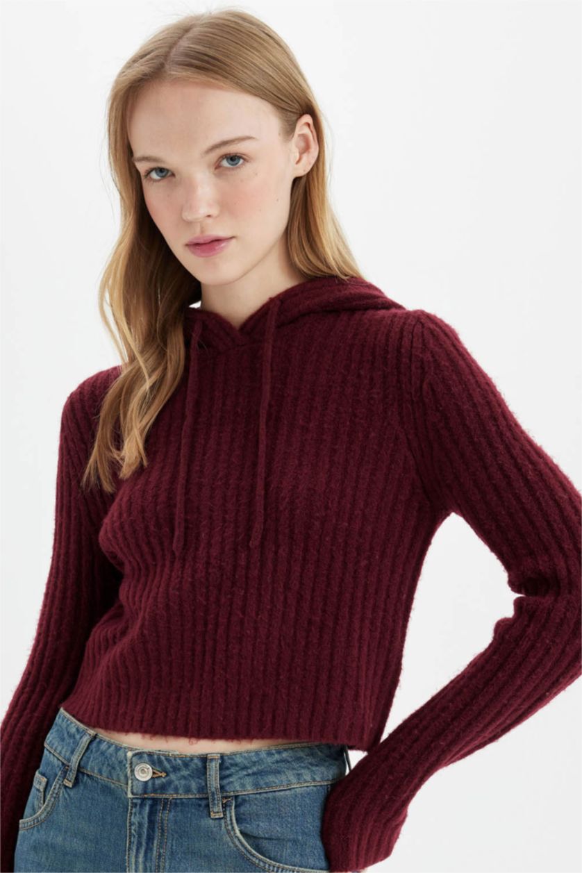 Женщины Бордовый Свитер стандартного кроя с капюшоном