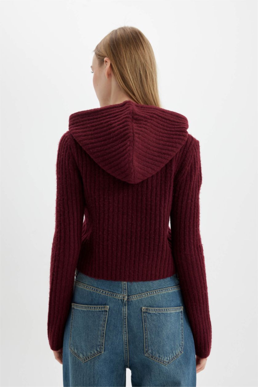 Женщины Бордовый Свитер стандартного кроя с капюшоном