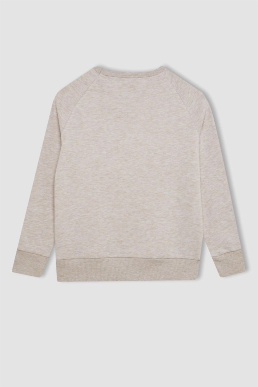 Erkek Çocuk - Genç Erkek Bej Melanj Erkek Çocuk Bej Bisiklet Yaka Basic Düz Okul Sweatshirt