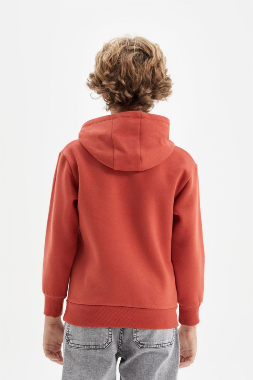 Boys & Teens Dark Orange Boy Printed Hooded Thick School Sweatshirt