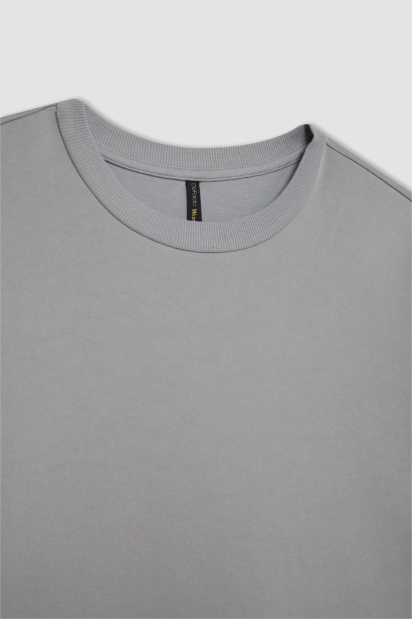 Kadın Açık Gri Relax Fit Bisiklet Yaka Basic Düz Kısa Kollu Tişört