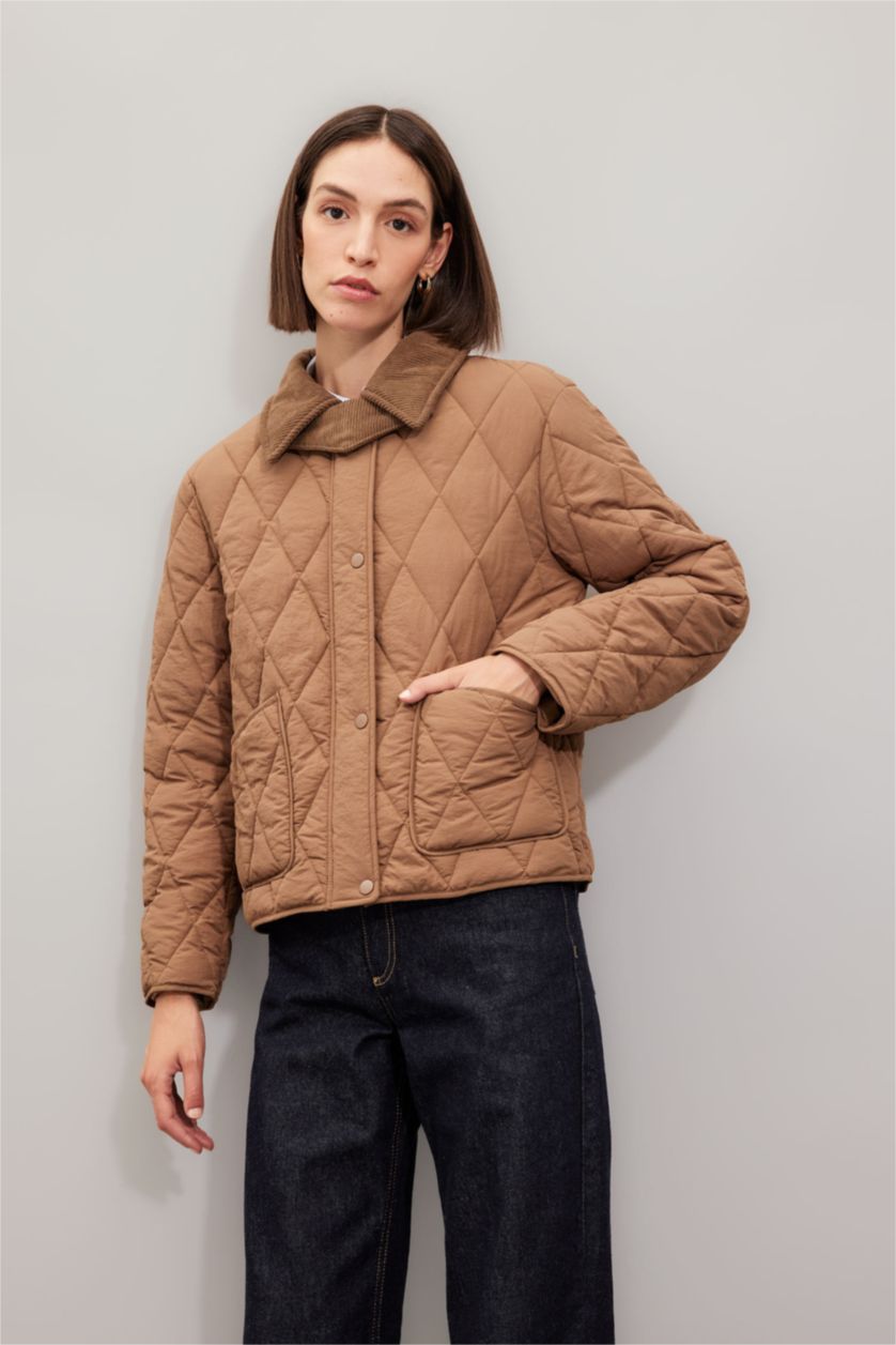 Woman Beige Regular Fit Velvet Collar Quilted Light Jacket