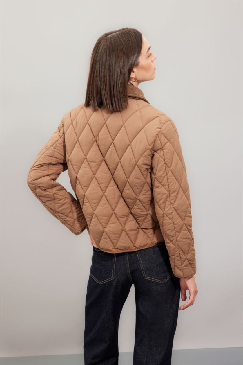 Woman Beige Regular Fit Velvet Collar Quilted Light Jacket
