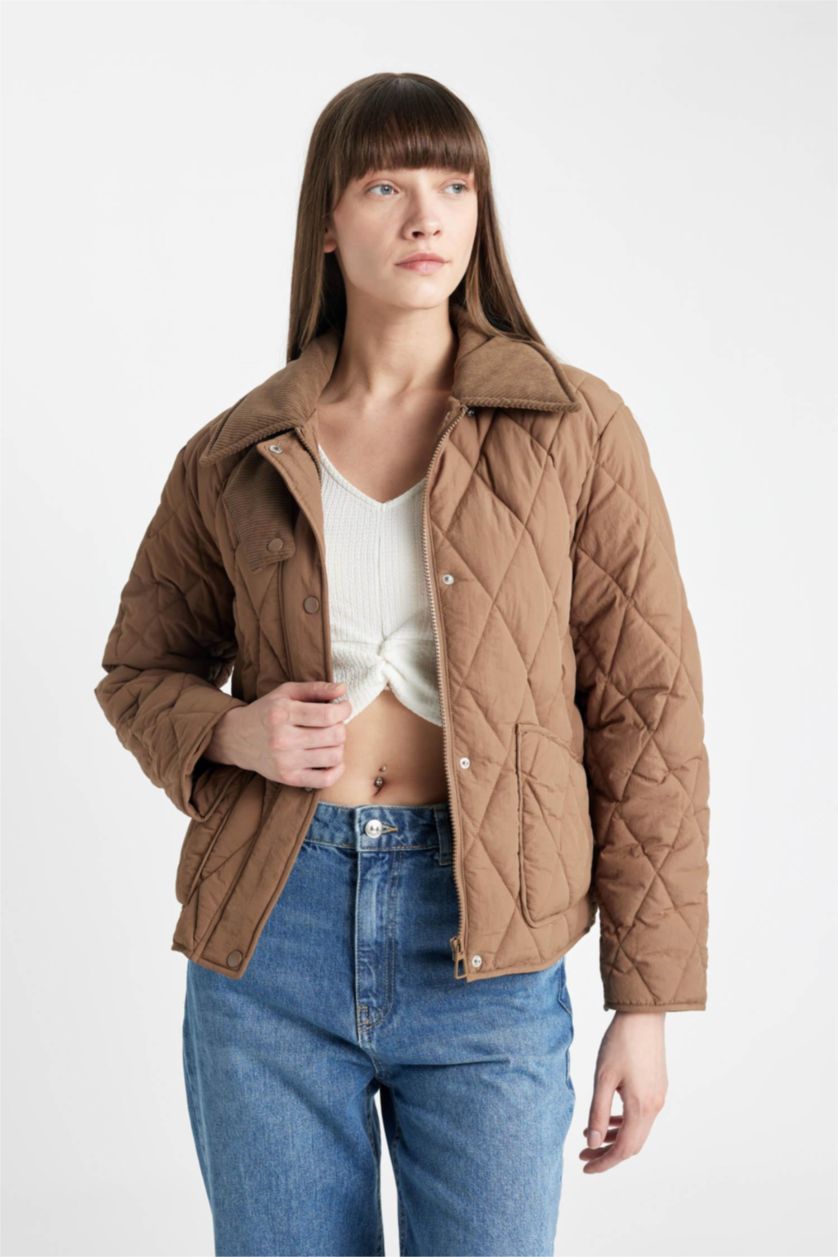 Woman Beige Regular Fit Velvet Collar Quilted Light Jacket