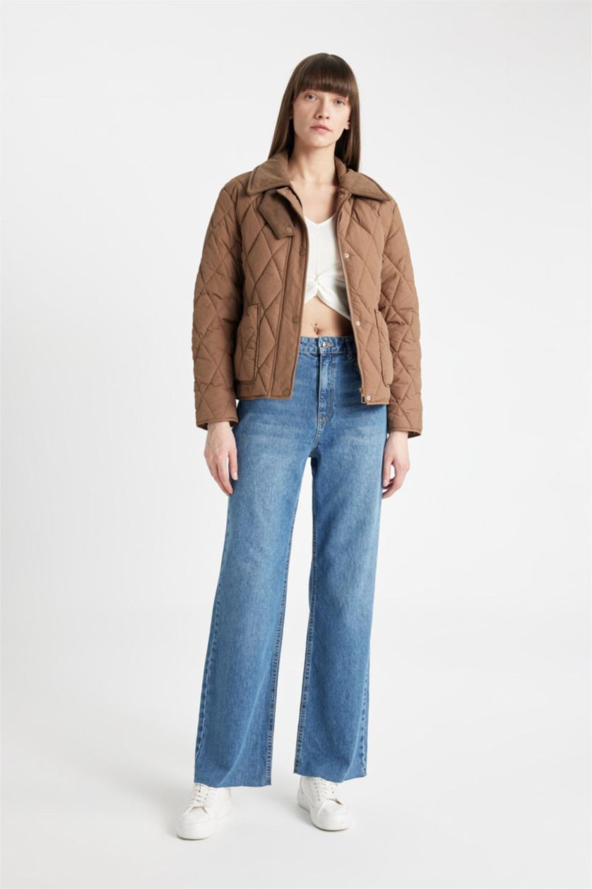 Woman Beige Regular Fit Velvet Collar Quilted Light Jacket