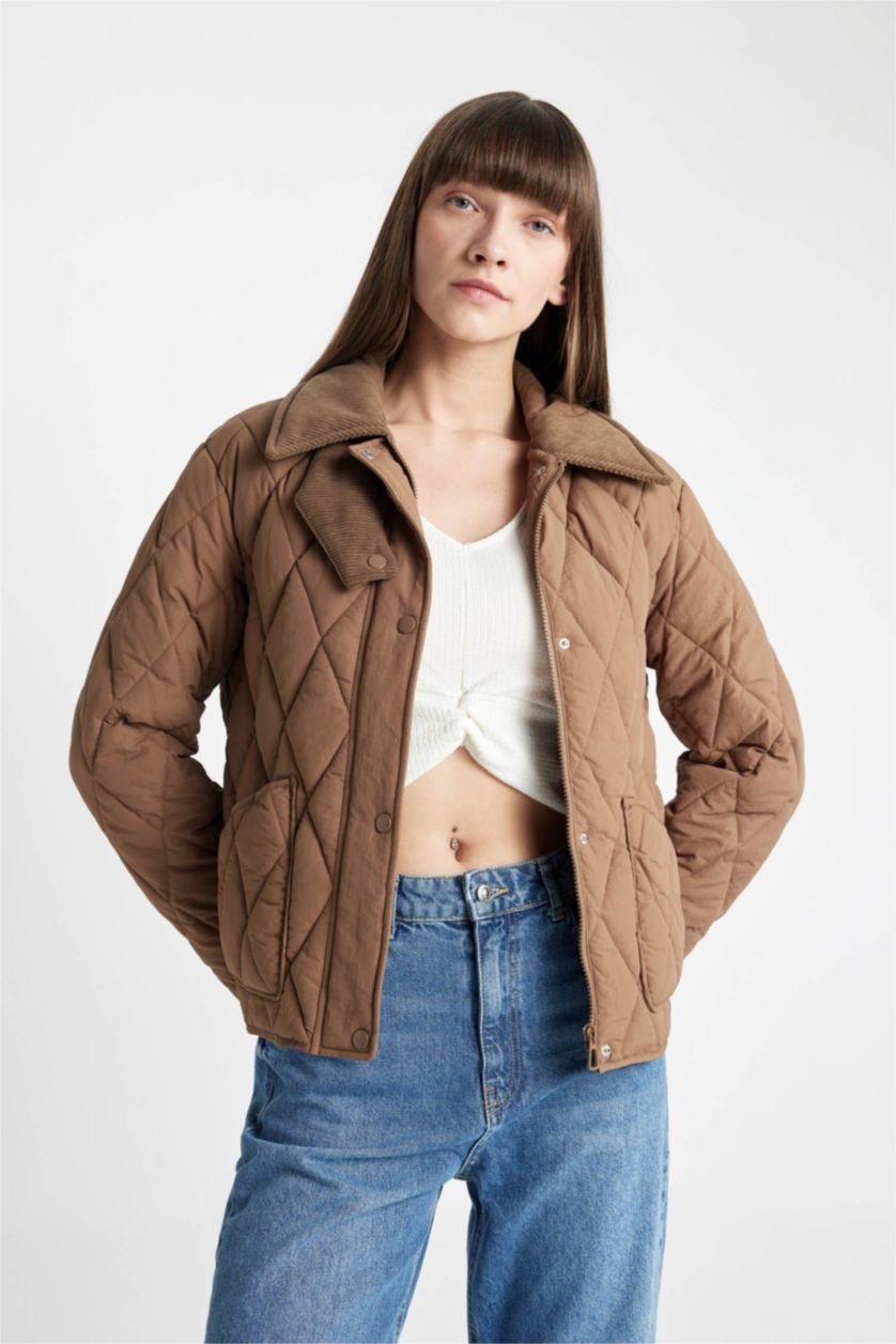 Woman Beige Regular Fit Velvet Collar Quilted Light Jacket