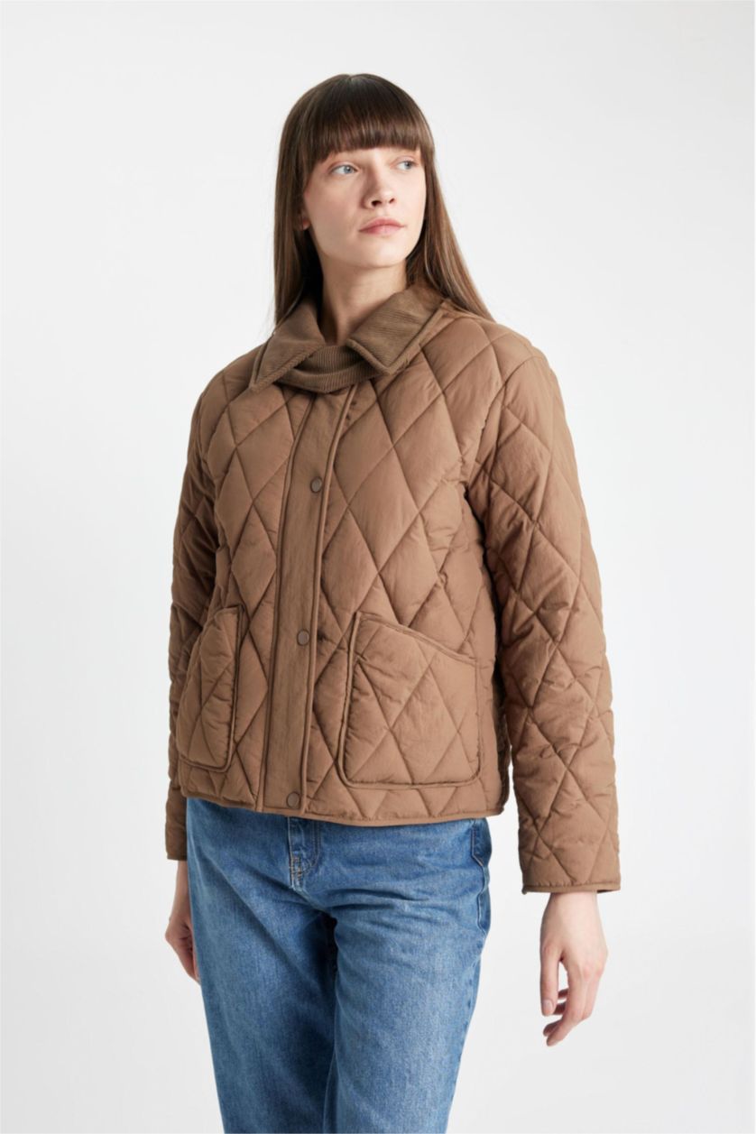 Woman Beige Regular Fit Velvet Collar Quilted Light Jacket