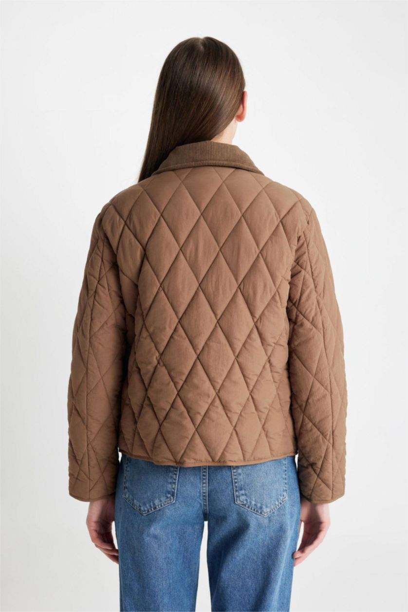 Woman Beige Regular Fit Velvet Collar Quilted Light Jacket