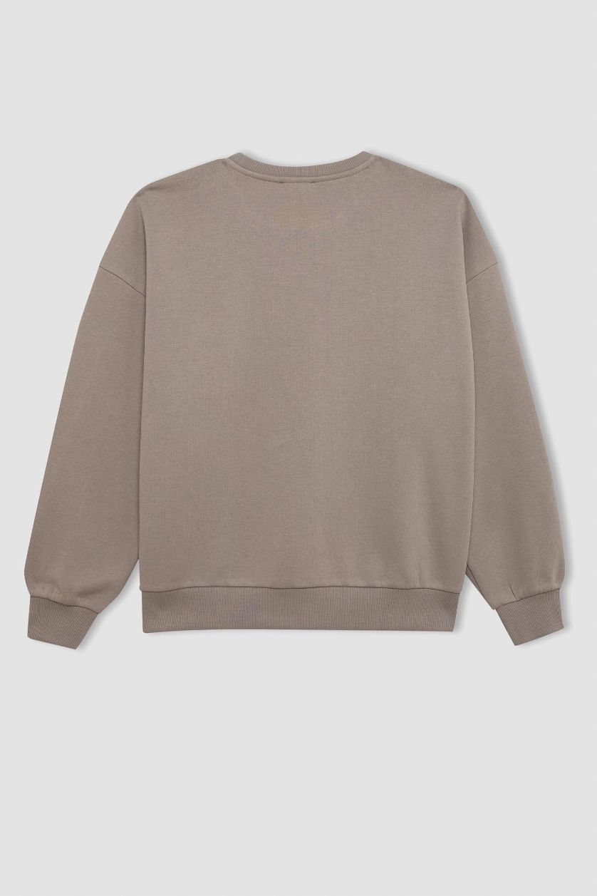 Kadın Taş Loose Fit Bisiklet Yaka Baskılı Kalın Sweatshirt