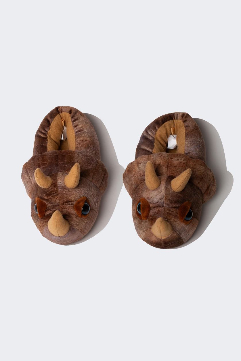 BOYS & TEENS Brown Boy Rhinoceros Themed Plush Home Slippers