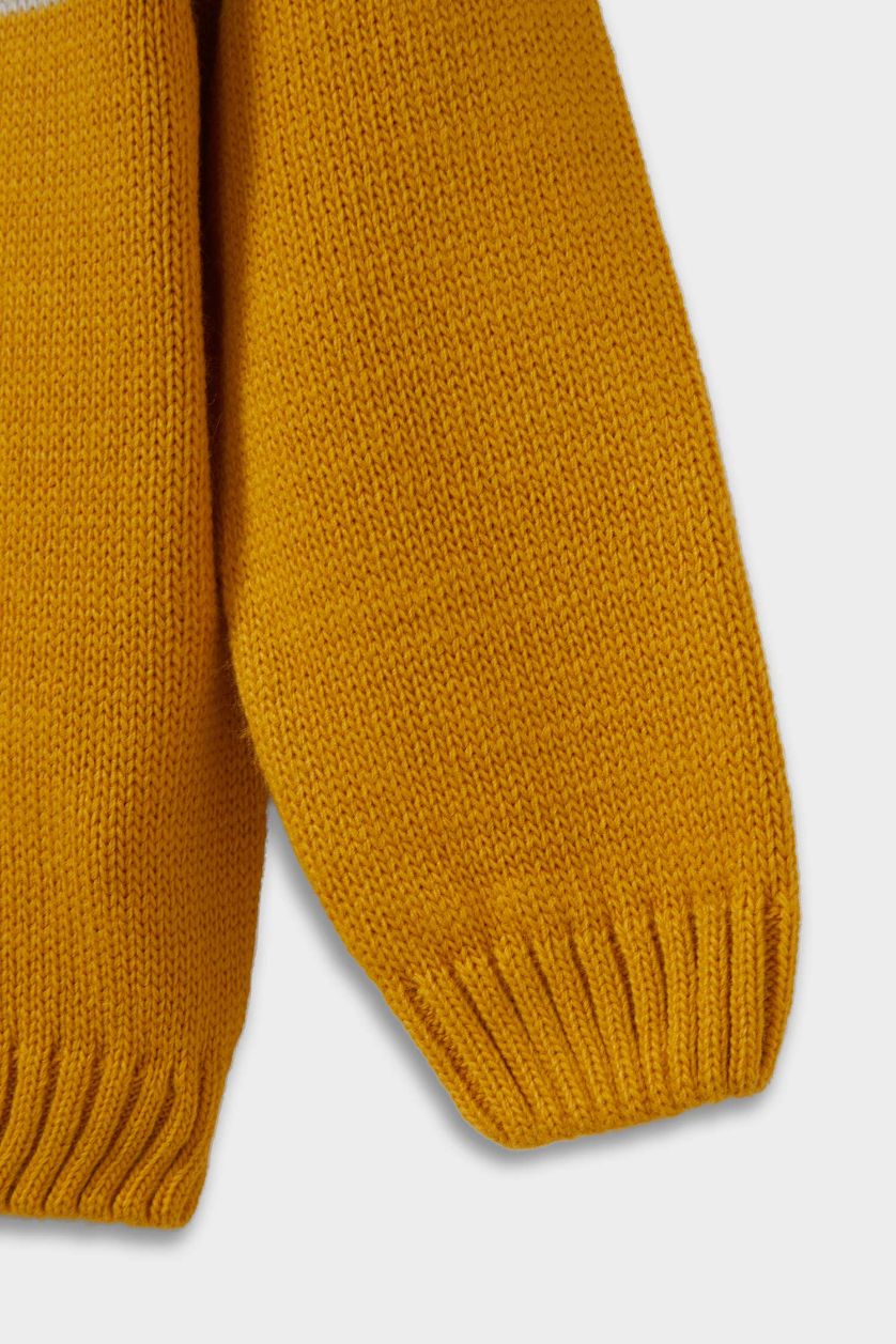 BABY BOY Yellow Baby Boy Regular Fit Color Block Pullover