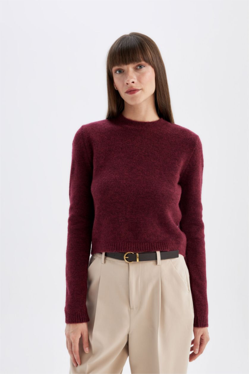 FEMME Bordeaux Pull en tricot basique à col rond Coupe régulière
