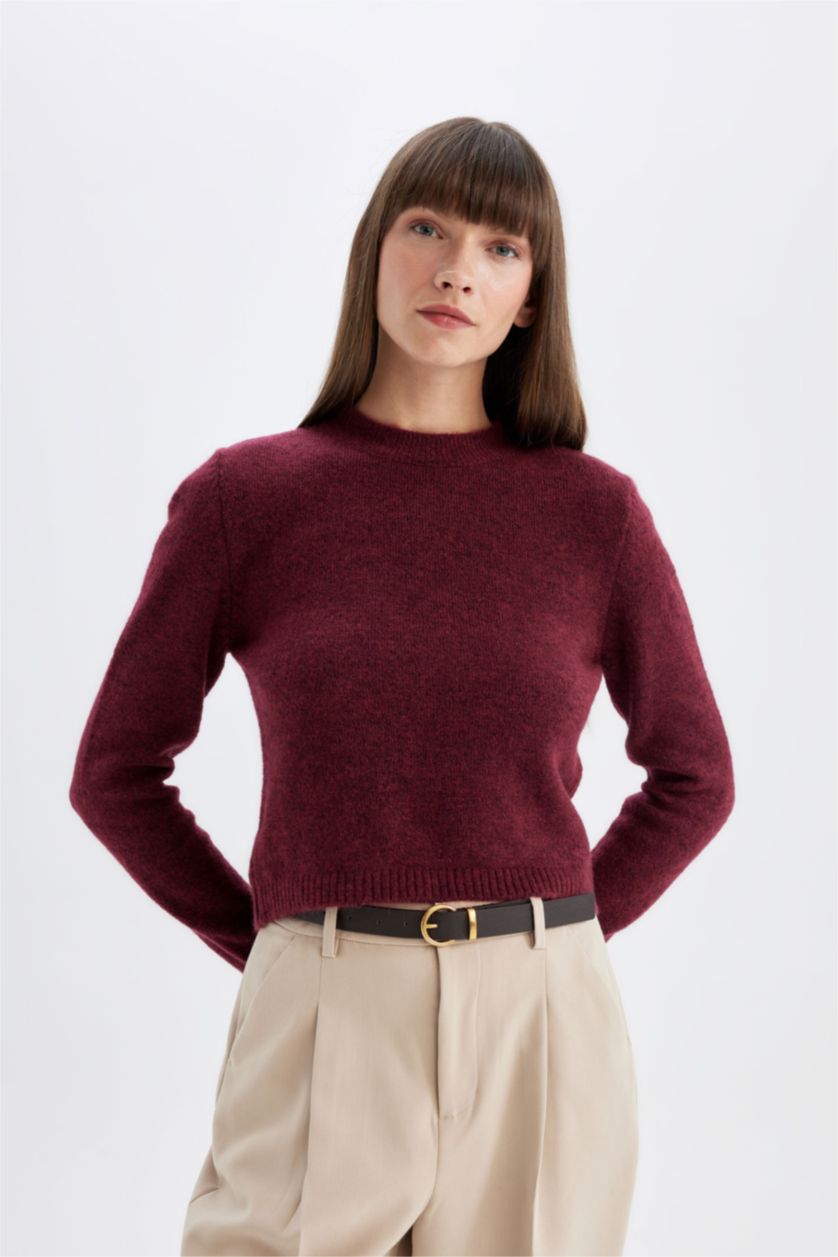 FEMME Bordeaux Pull en tricot basique à col rond Coupe régulière