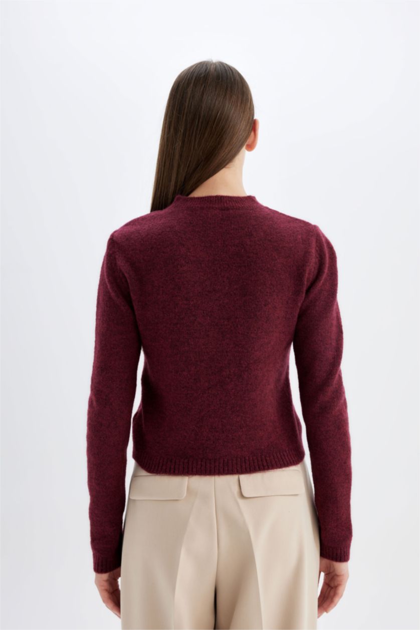 FEMME Bordeaux Pull en tricot basique à col rond Coupe régulière