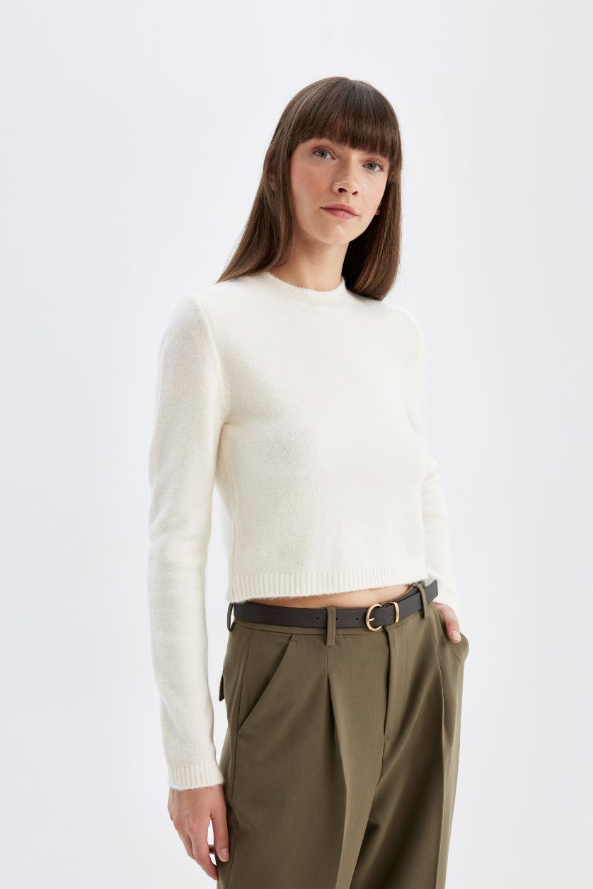 Woman Ecru Regular Fit Crew Neck Premium Basic Crop Pullover