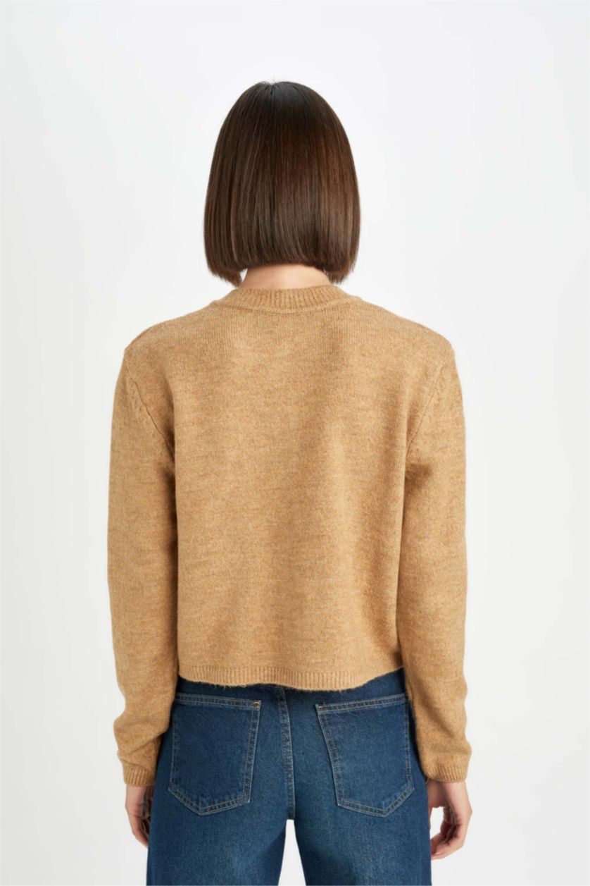 حريمي بيج كارديجان تريكو بيزك قصة عادية برقبة مستديرة