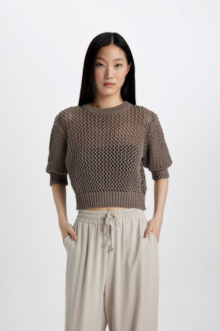Woman Vison Crew Neck Half Sleeve Crochet Pullover