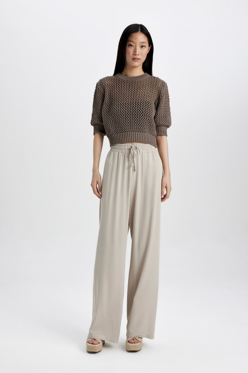 Woman Vison Crew Neck Half Sleeve Crochet Pullover