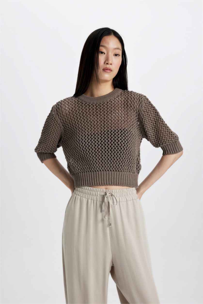 Woman Vison Crew Neck Half Sleeve Crochet Pullover