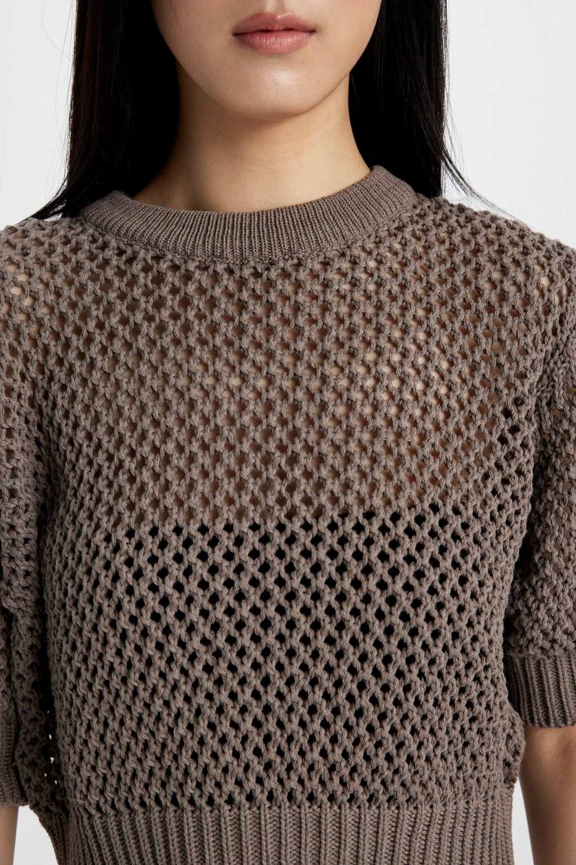 Woman Vison Crew Neck Half Sleeve Crochet Pullover