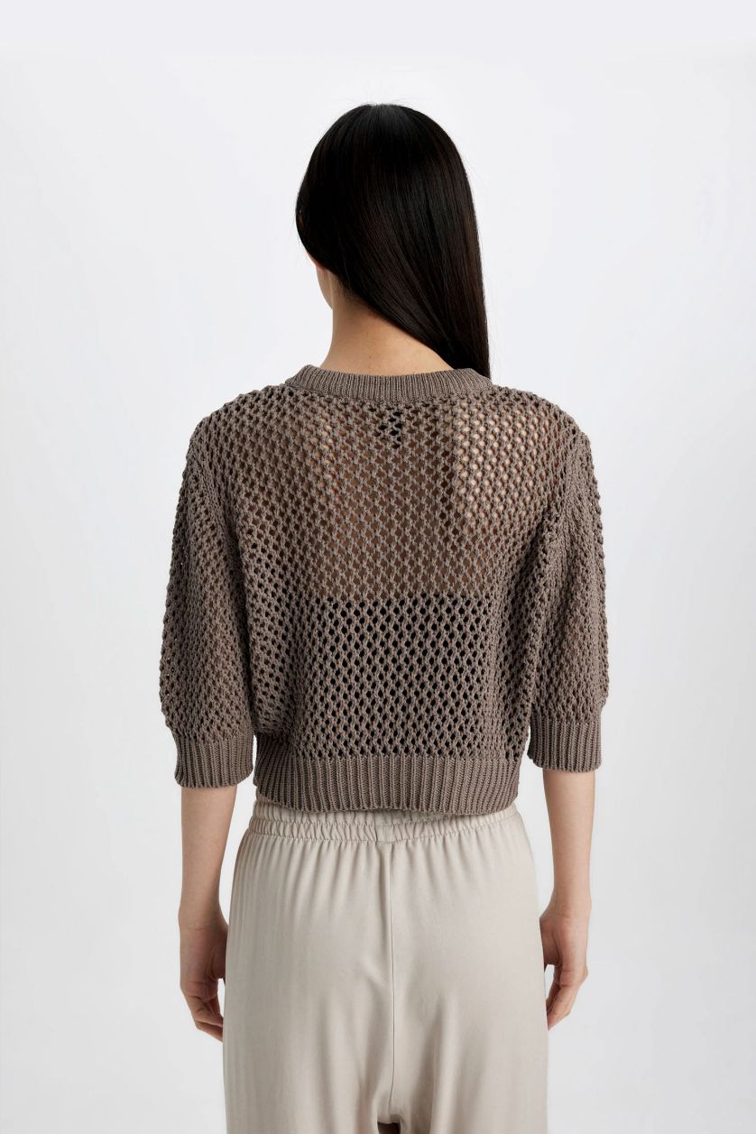 Woman Vison Crew Neck Half Sleeve Crochet Pullover