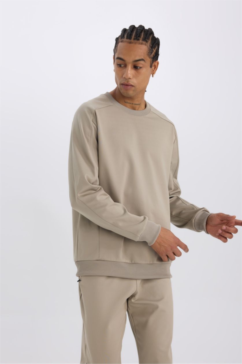 HOMME Gris Sweat-shirt Coupe standard Col rond à manches longues de DeFacto Fit
