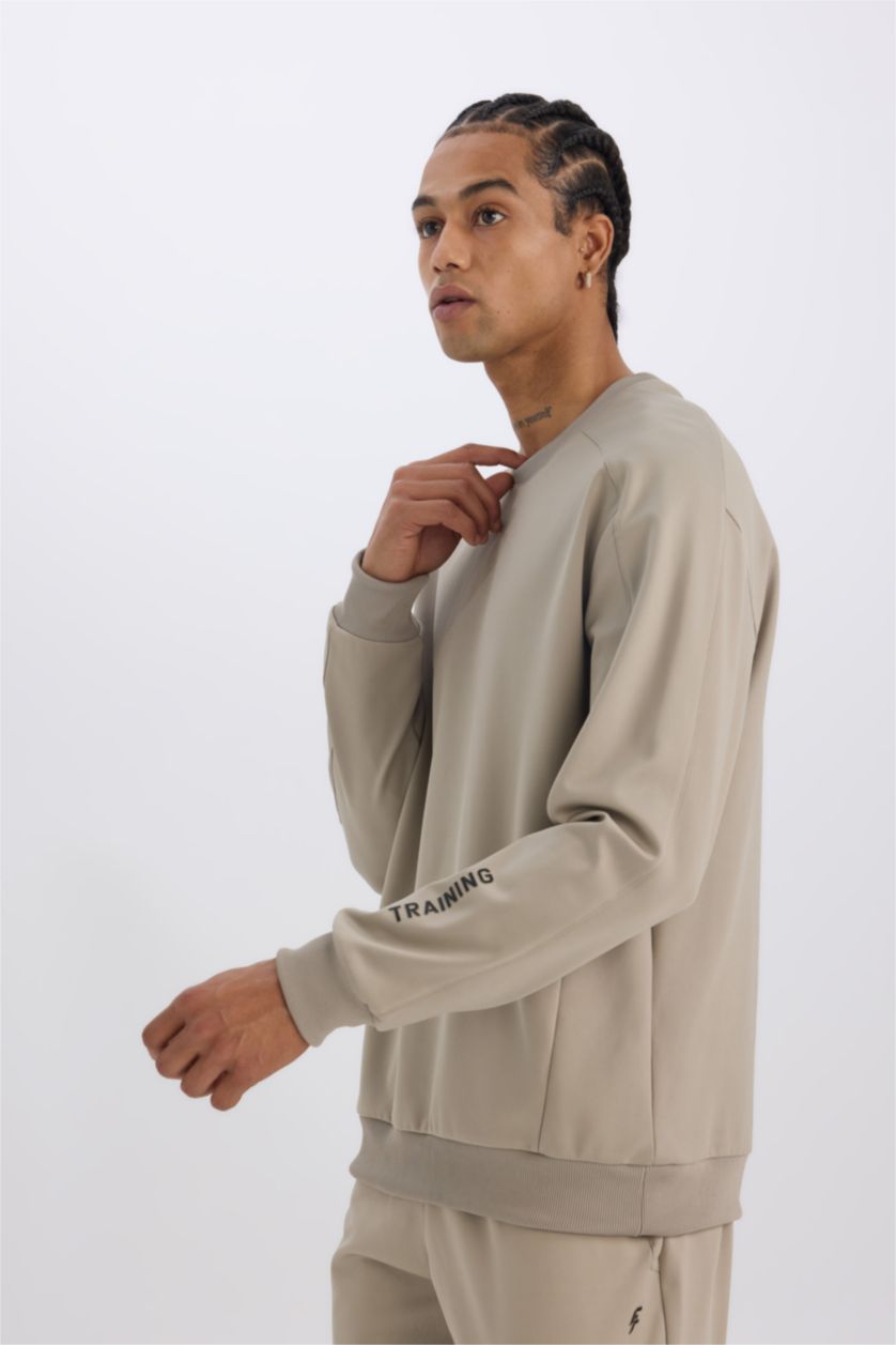 HOMME Gris Sweat-shirt Coupe standard Col rond à manches longues de DeFacto Fit