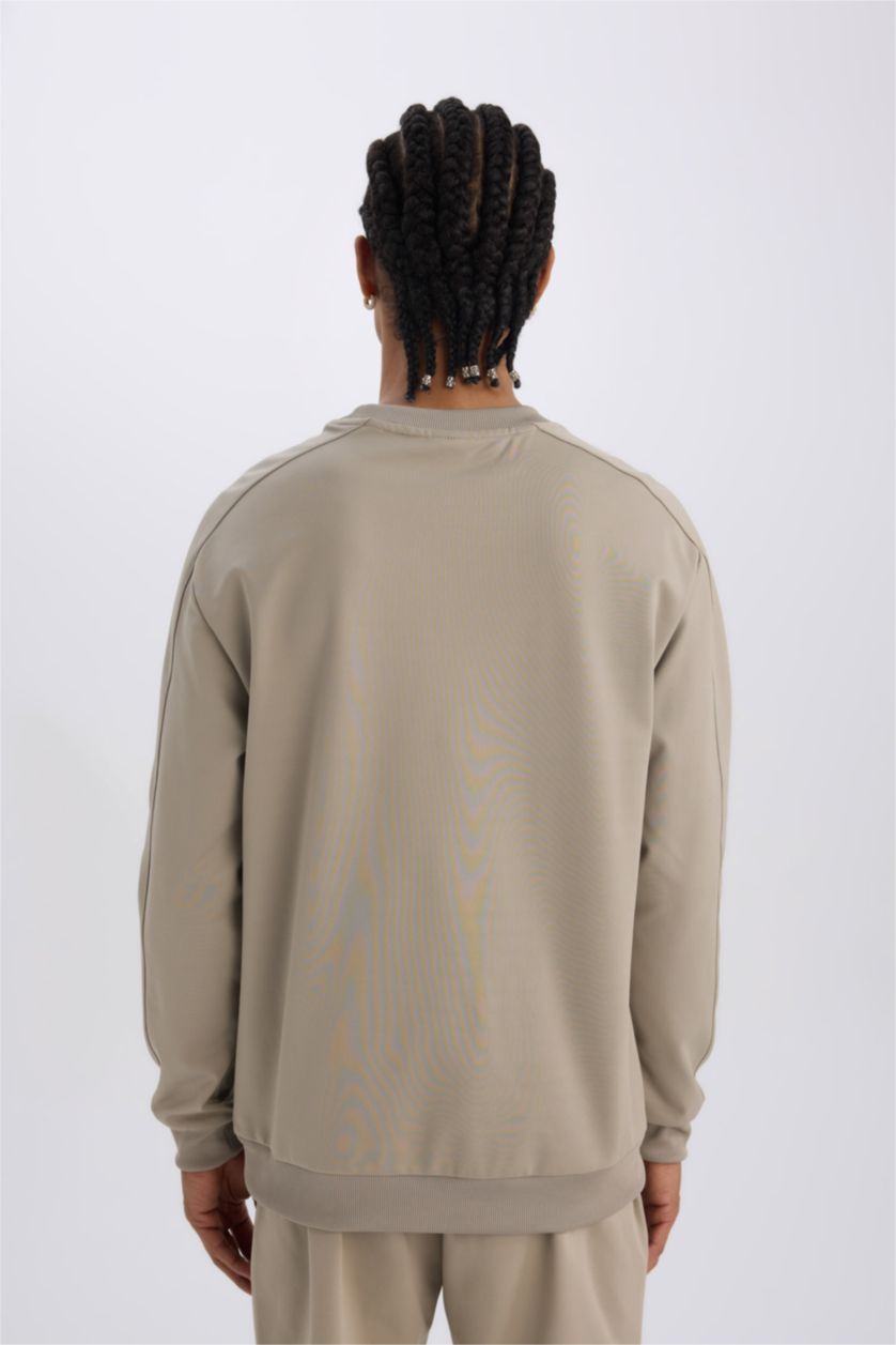 HOMME Gris Sweat-shirt Coupe standard Col rond à manches longues de DeFacto Fit