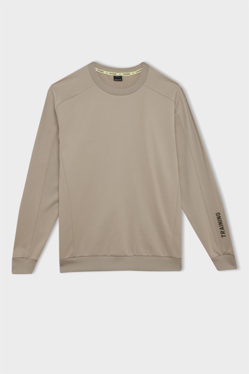 HOMME Gris Sweat-shirt Coupe standard Col rond à manches longues de DeFacto Fit