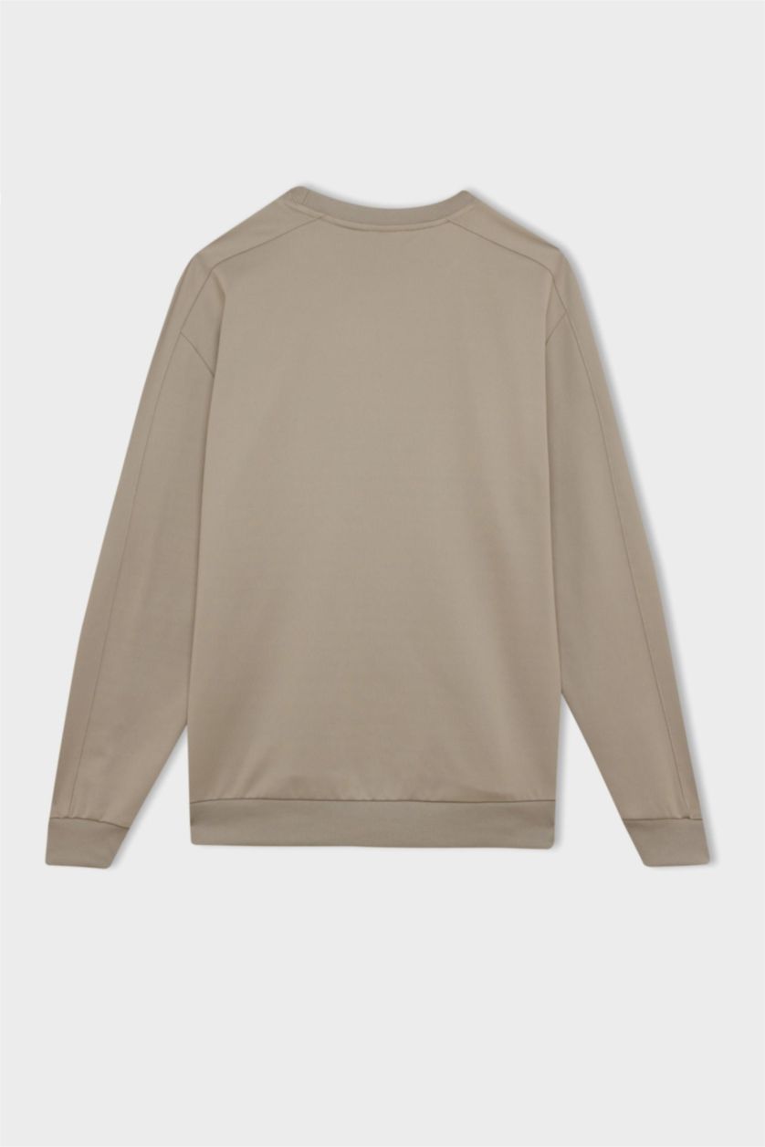 HOMME Gris Sweat-shirt Coupe standard Col rond à manches longues de DeFacto Fit