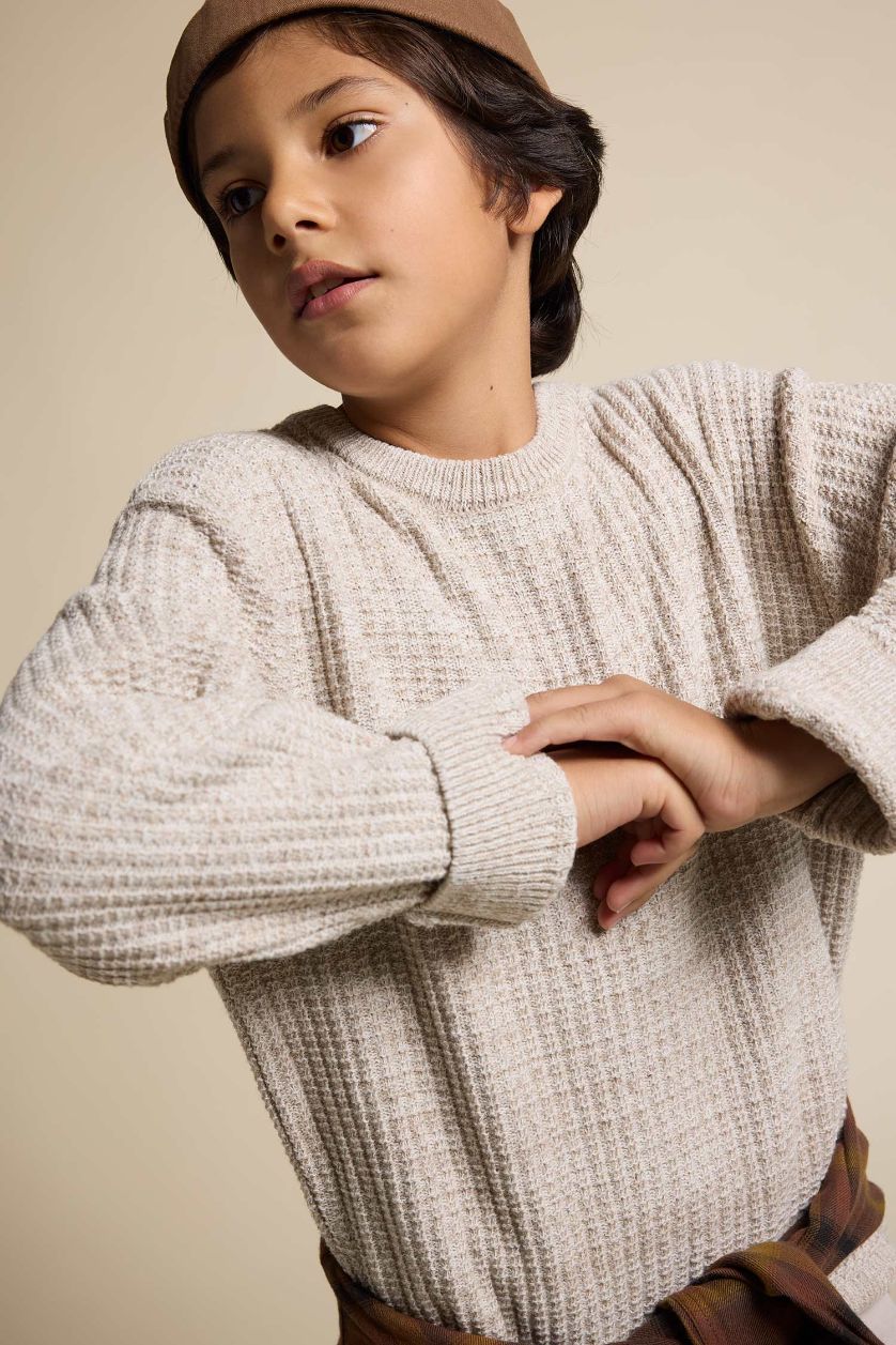 BOYS & TEENS Beige Melange Boy Regular Fit Crew Neck Pullover