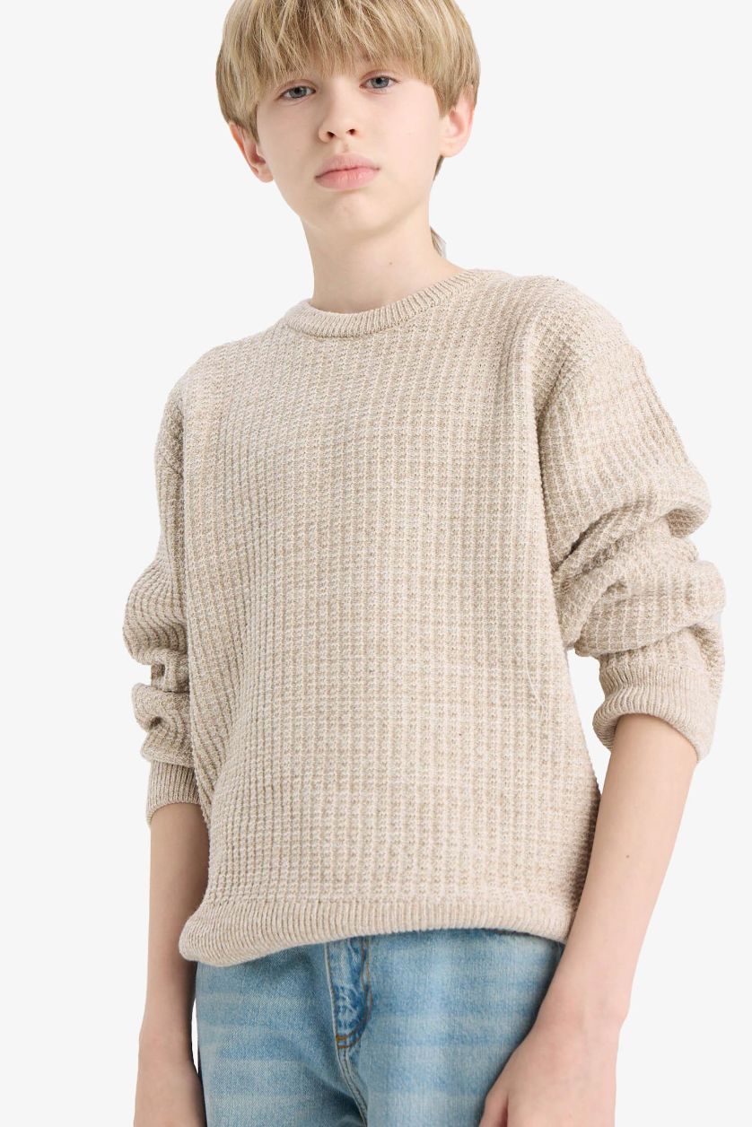 BOYS & TEENS Beige Melange Boy Regular Fit Crew Neck Pullover