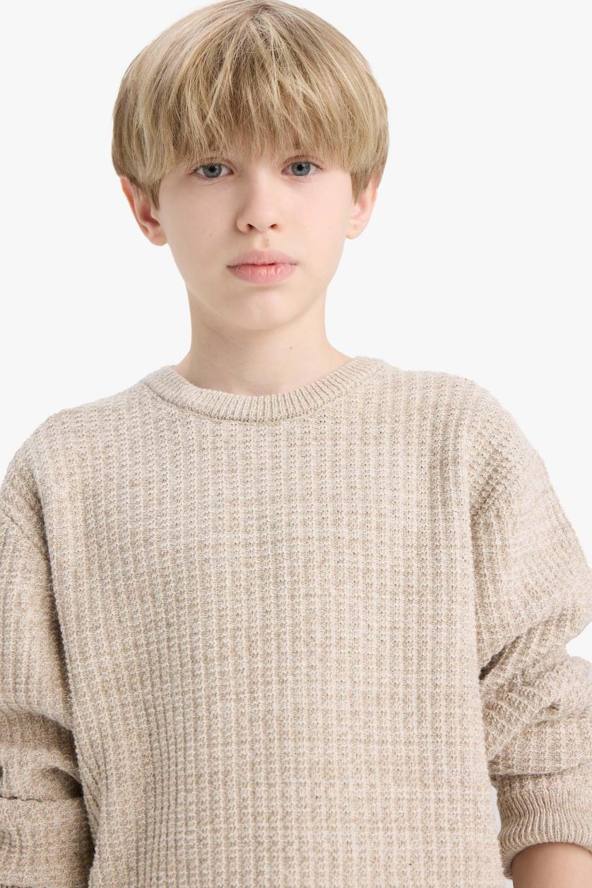 BOYS & TEENS Beige Melange Boy Regular Fit Crew Neck Pullover