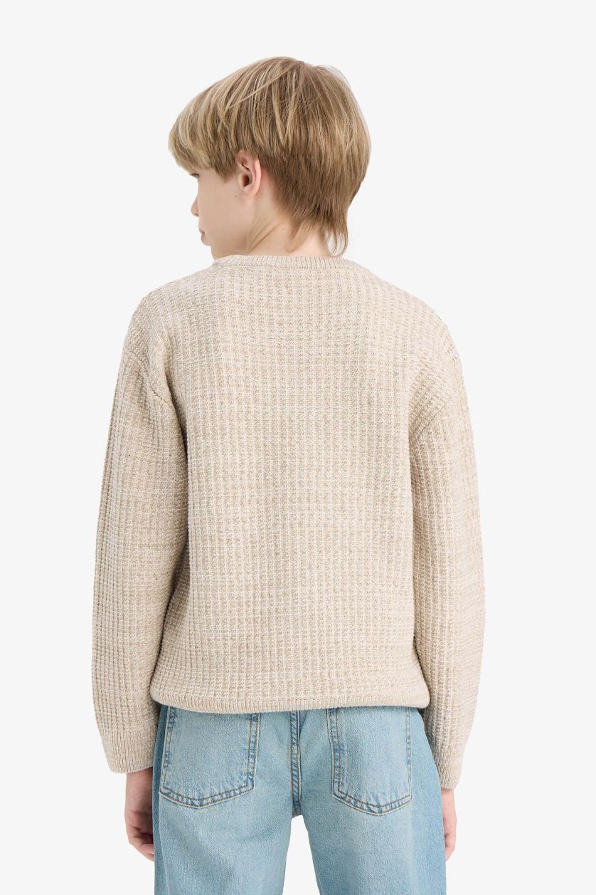 BOYS & TEENS Beige Melange Boy Regular Fit Crew Neck Pullover