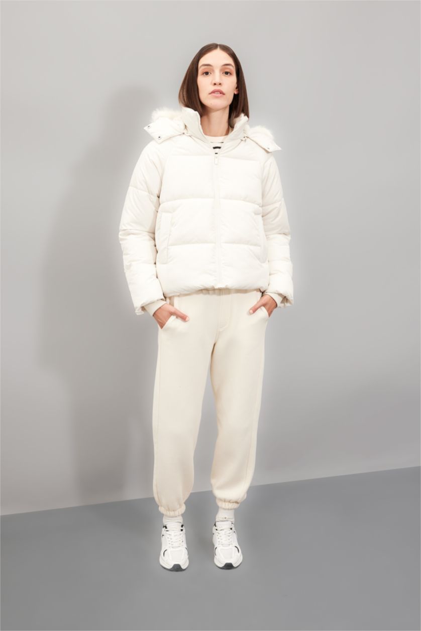 Женщины Бежевый Куртка стандартного кроя с капюшоном