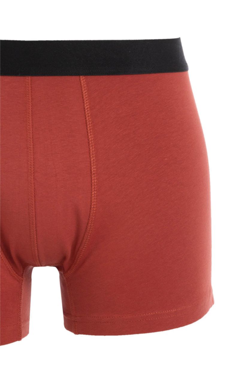 Erkek Siyah Regular Fit 3'lü Boxer