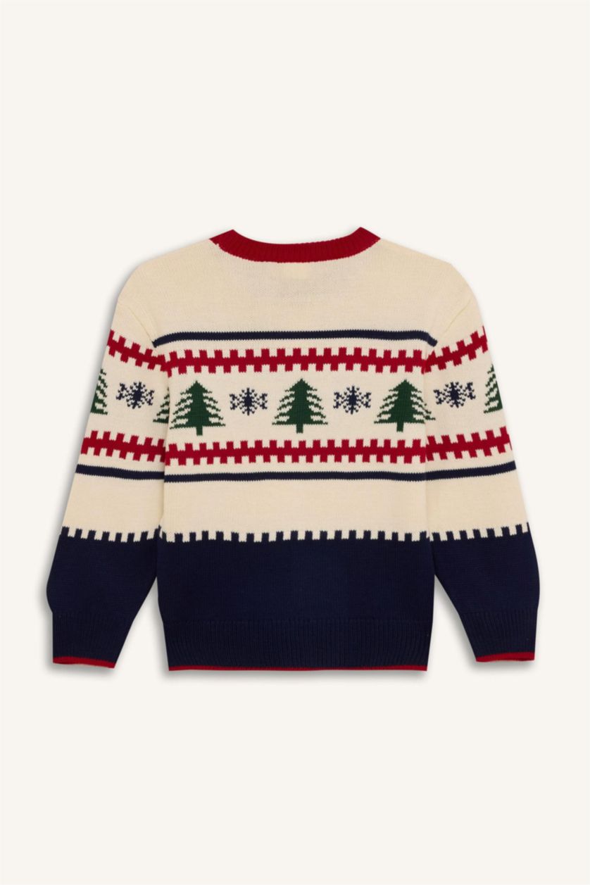 أولاد أزرق بلوفر تريكو قصة عادية برقبة مستديرة