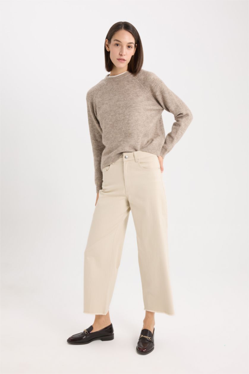 Kadın Vizon Regular Fit Bisiklet Yaka Basic Düz Triko Kazak