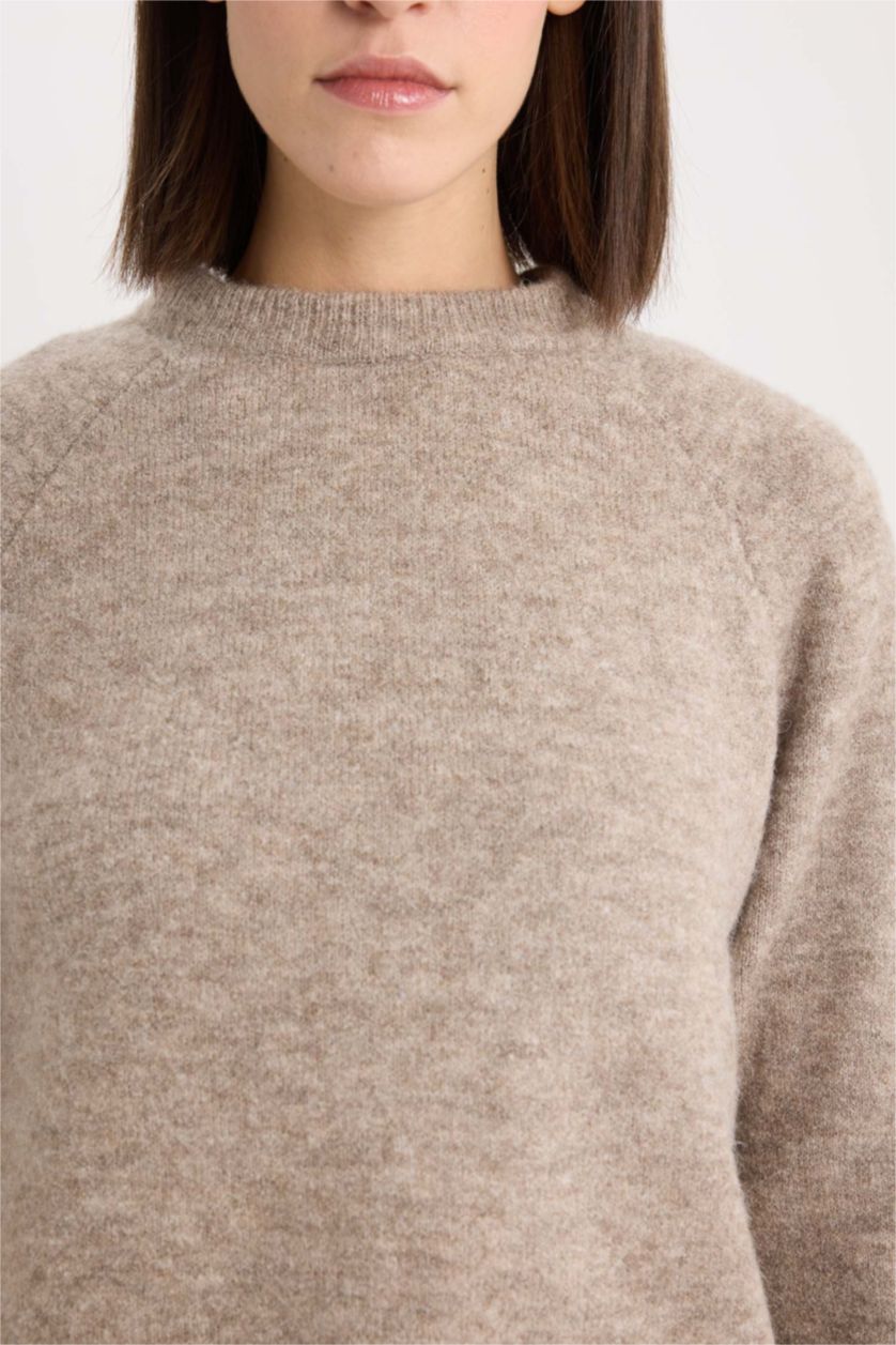 Kadın Vizon Regular Fit Bisiklet Yaka Basic Düz Triko Kazak