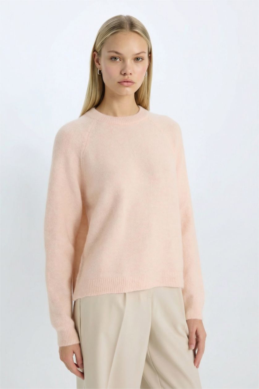 Kadın Açık Pembe Regular Fit Bisiklet Yaka Triko Kazak