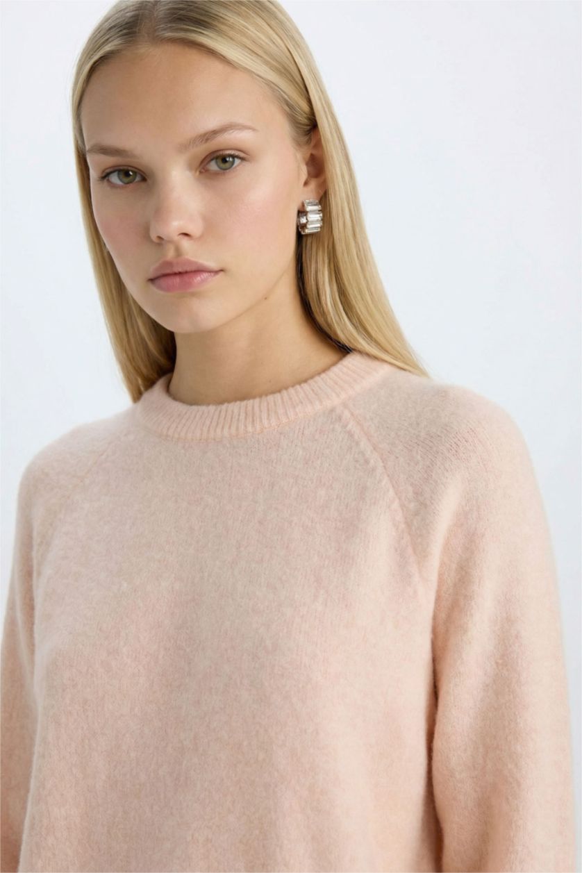 Kadın Açık Pembe Regular Fit Bisiklet Yaka Triko Kazak