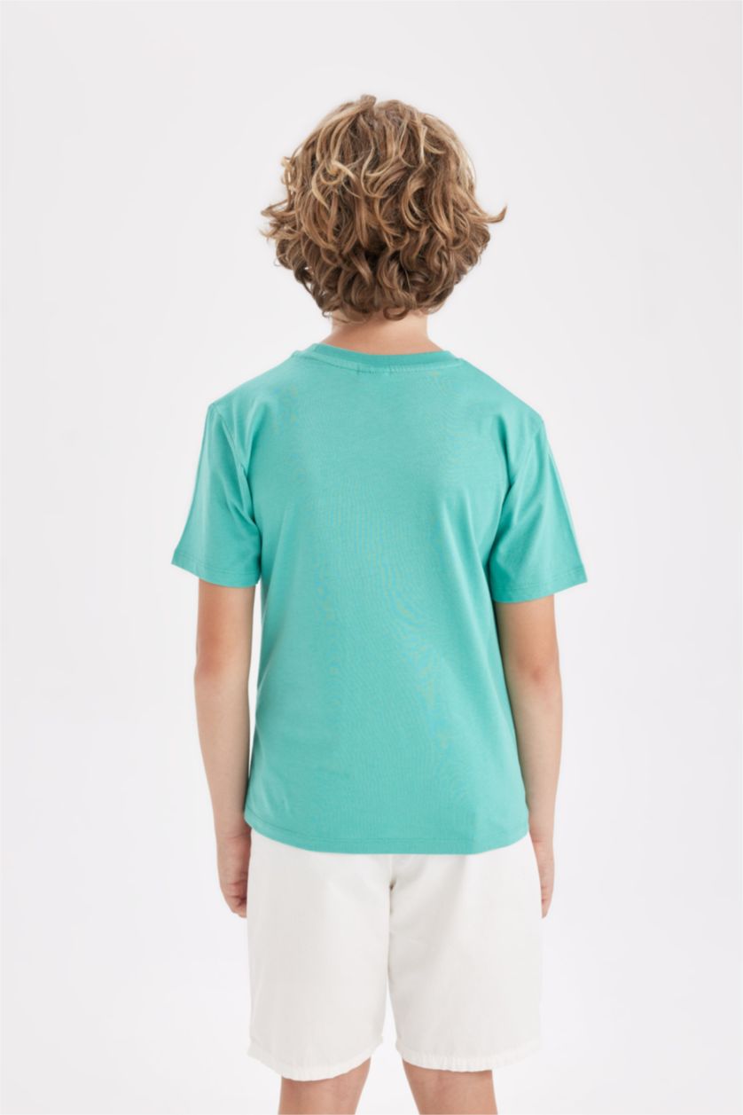 Boys & Teens Light Green Regular Fit Printed Short Sleeve T-Shirt