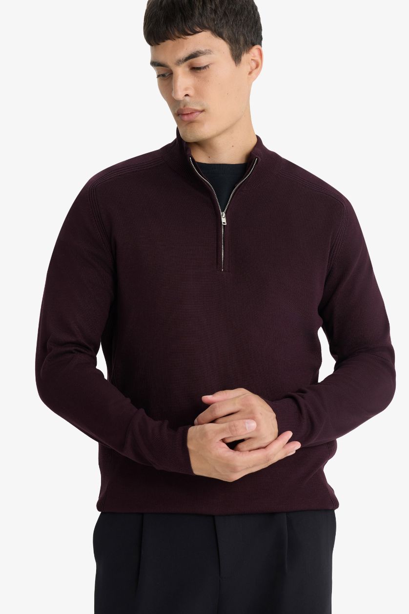 HOMME Bordeaux Pull en maille à col montant demi-zip Coupe standard