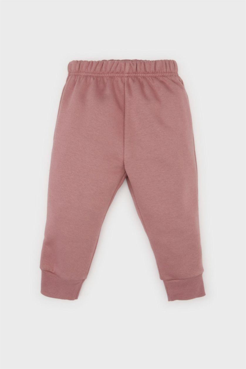 Baby Girl Rose Baby Girl Printed Sweatshirt Elastic Waist Sweatpants 2 Piece Set