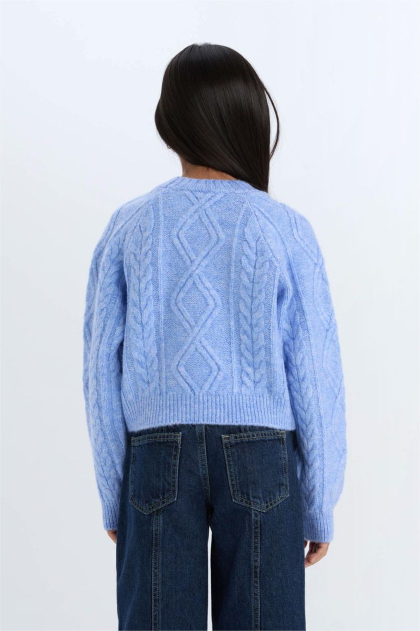 GIRLS & TEENS Blue Girl Regular Fit Crew Neck Pullover